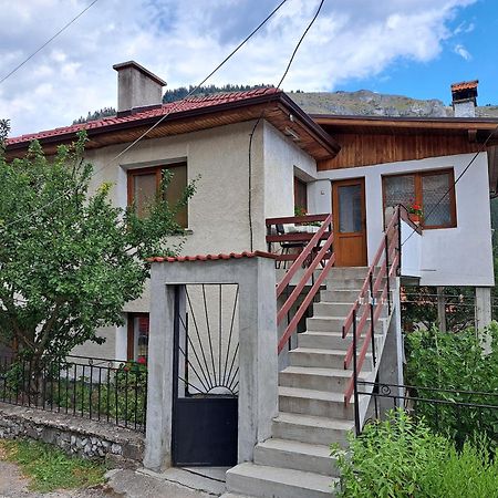 Guest House Denitsa Trigrad Kültér fotó